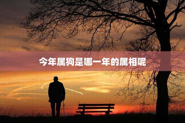 今年属狗是哪一年的属相呢