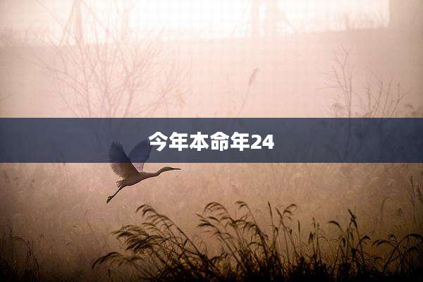 今年本命年24