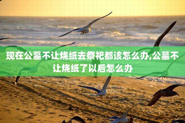 现在公墓不让烧纸去祭祀都该怎么办,公墓不让烧纸了以后怎么办