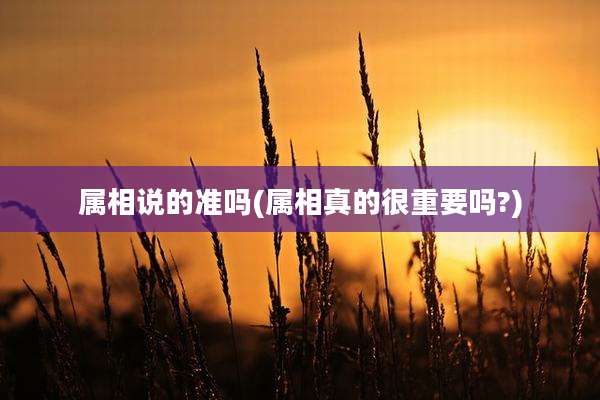 属相说的准吗(属相真的很重要吗?)