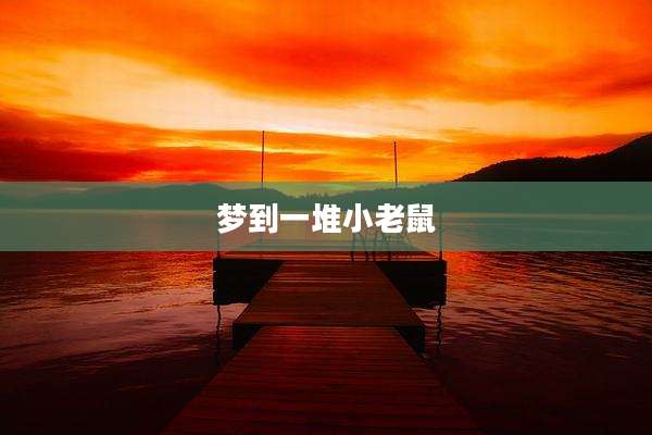 梦到一堆小老鼠