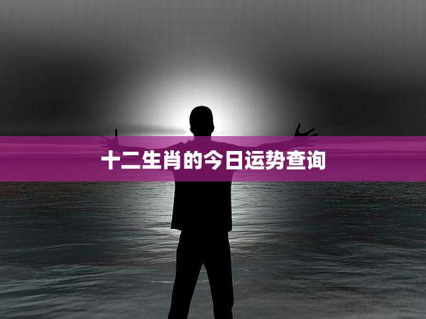 十二生肖的今日运势查询