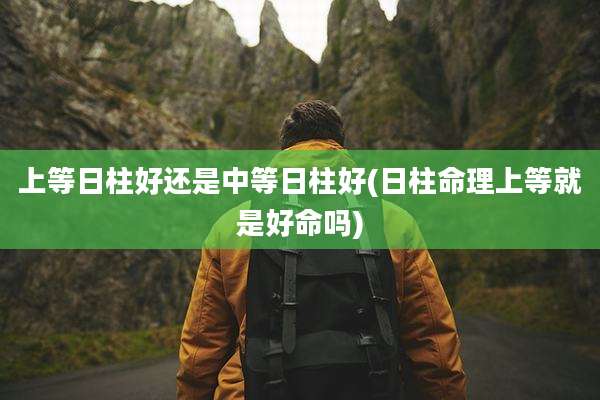 上等日柱好还是中等日柱好(日柱命理上等就是好命吗)