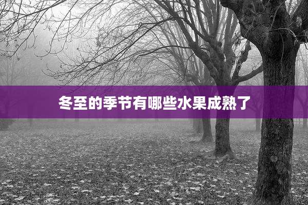冬至的季节有哪些水果成熟了
