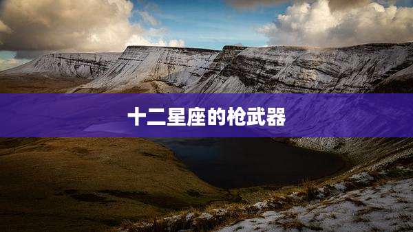 十二星座的枪武器