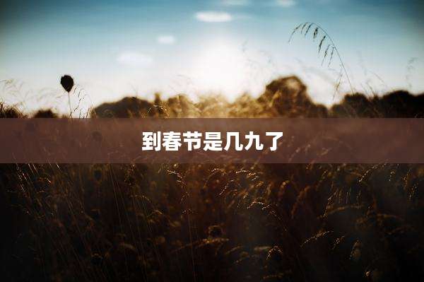 到春节是几九了
