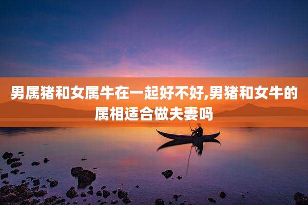男属猪和女属牛在一起好不好,男猪和女牛的属相适合做夫妻吗
