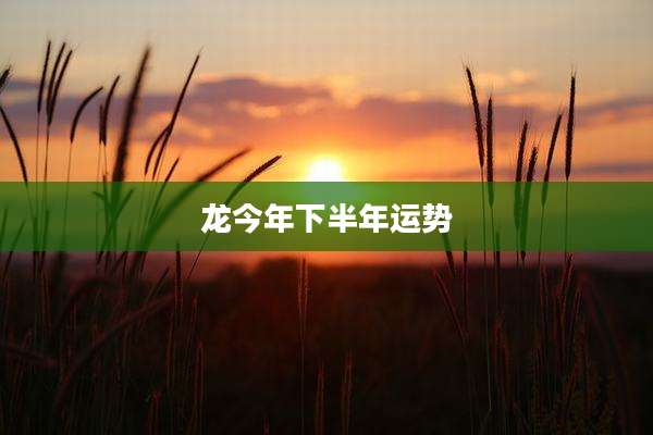 龙今年下半年运势