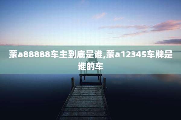 蒙a88888车主到底是谁,蒙a12345车牌是谁的车