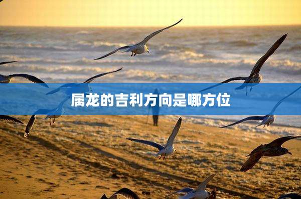 属龙的吉利方向是哪方位