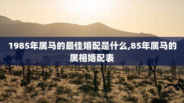 1985年属马的最佳婚配是什么,85年属马的属相婚配表