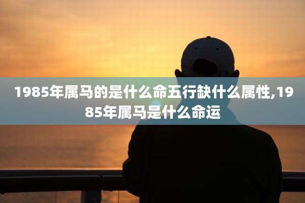 1985年属马的是什么命五行缺什么属性,1985年属马是什么命运