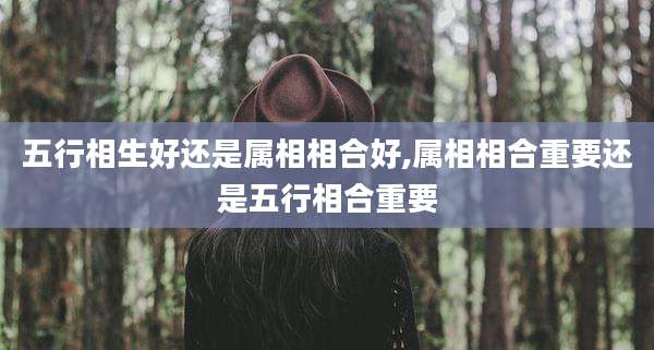 五行相生好还是属相相合好,属相相合重要还是五行相合重要