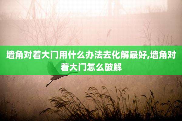 墙角对着大门用什么办法去化解最好,墙角对着大门怎么破解