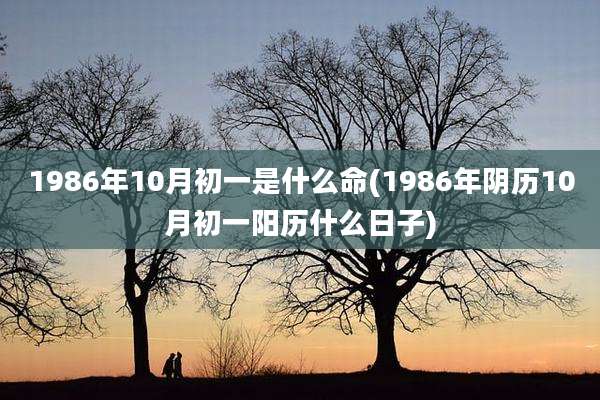 1986年10月初一是什么命(1986年阴历10月初一阳历什么日子)
