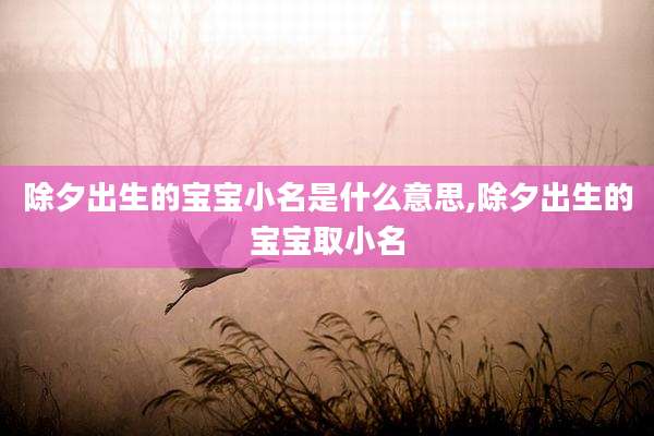 除夕出生的宝宝小名是什么意思,除夕出生的宝宝取小名
