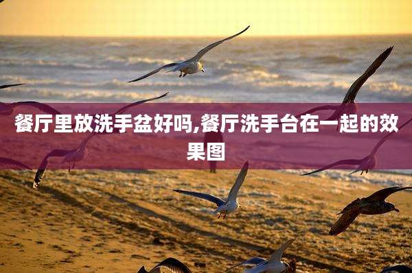 餐厅里放洗手盆好吗,餐厅洗手台在一起的效果图