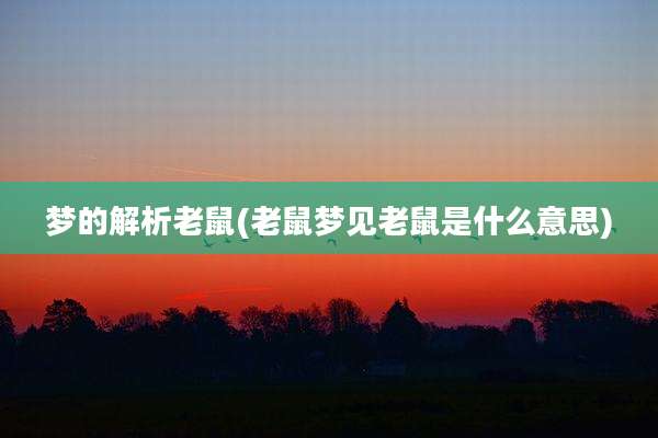梦的解析老鼠(老鼠梦见老鼠是什么意思)