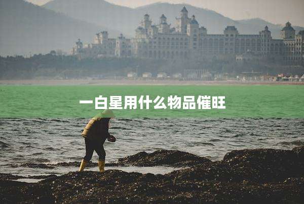 一白星用什么物品催旺