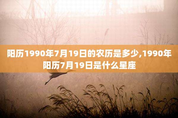 阳历1990年7月19日的农历是多少,1990年阳历7月19日是什么星座