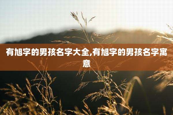 有旭字的男孩名字大全,有旭字的男孩名字寓意