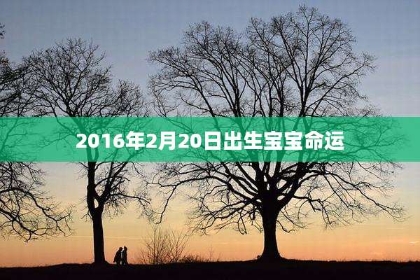 2016年2月20日出生宝宝命运