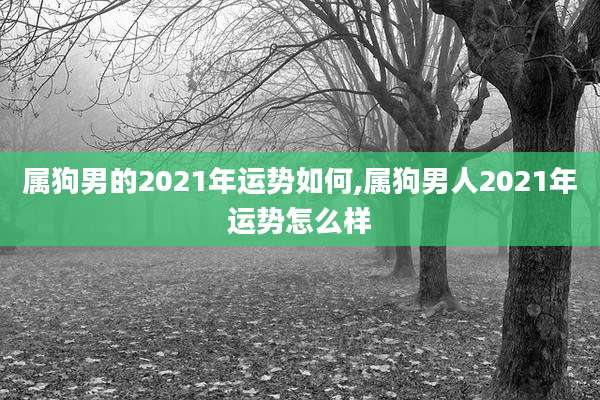 属狗男的2021年运势如何,属狗男人2021年运势怎么样