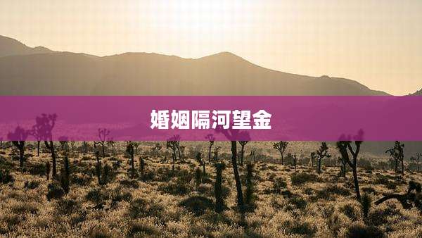 婚姻隔河望金