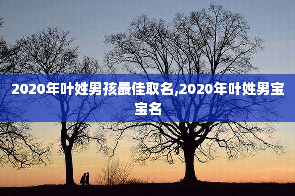 2020年叶姓男孩最佳取名,2020年叶姓男宝宝名