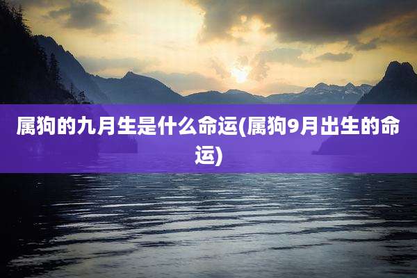 属狗的九月生是什么命运(属狗9月出生的命运)