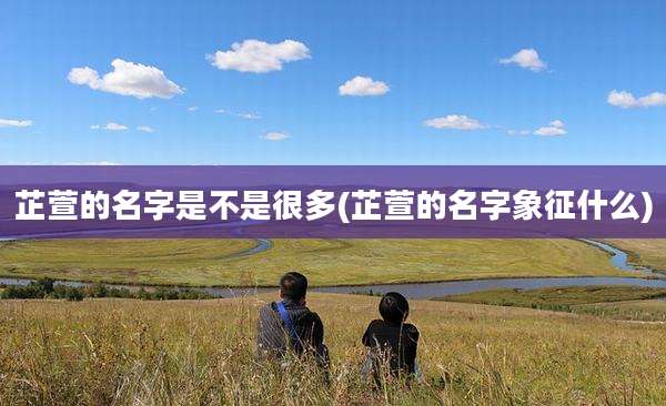 芷萱的名字是不是很多(芷萱的名字象征什么)