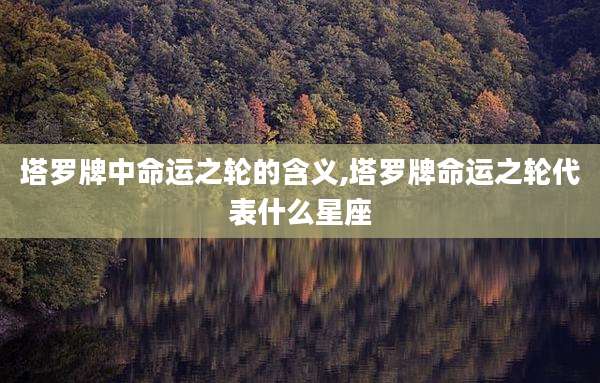 塔罗牌中命运之轮的含义,塔罗牌命运之轮代表什么星座