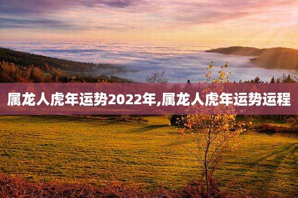 属龙人虎年运势2022年,属龙人虎年运势运程