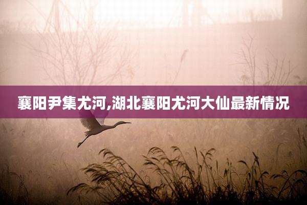 襄阳尹集尤河,湖北襄阳尤河大仙最新情况