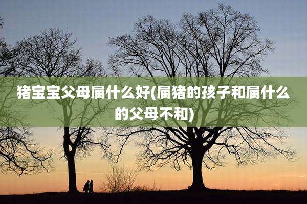 猪宝宝父母属什么好(属猪的孩子和属什么的父母不和)