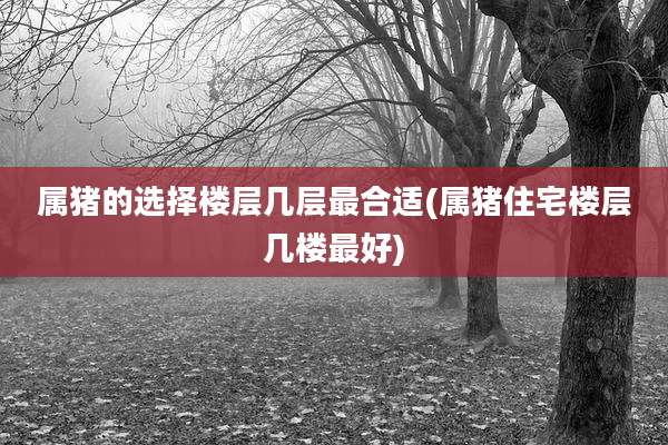 属猪的选择楼层几层最合适(属猪住宅楼层几楼最好)
