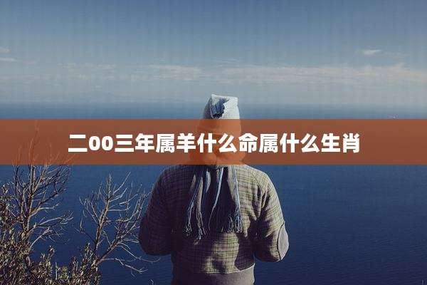 二00三年属羊什么命属什么生肖