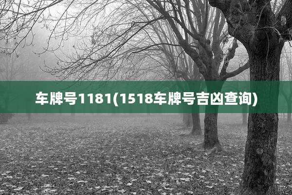 车牌号1181(1518车牌号吉凶查询)