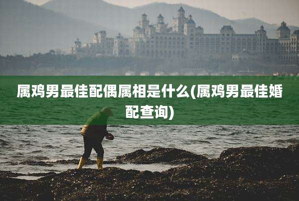 属鸡男最佳配偶属相是什么(属鸡男最佳婚配查询)