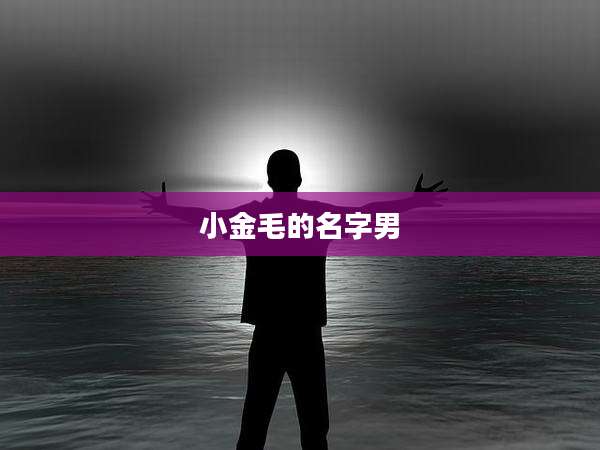 小金毛的名字男