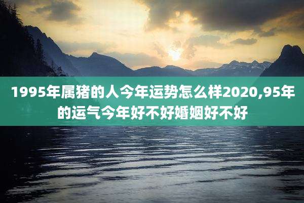 1995年属猪的人今年运势怎么样2020,95年的运气今年好不好婚姻好不好