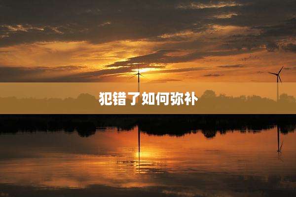 犯错了如何弥补