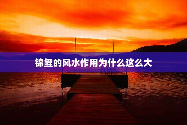 锦鲤的风水作用为什么这么大