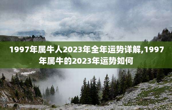 1997年属牛人2023年全年运势详解,1997年属牛的2023年运势如何