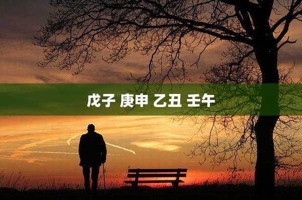 戊子 庚申 乙丑 壬午