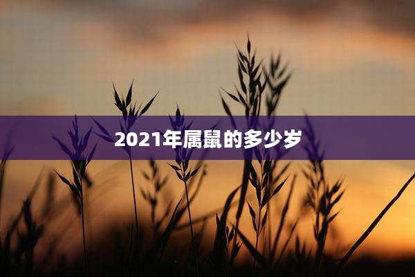 2021年属鼠的多少岁