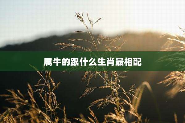 属牛的跟什么生肖最相配
