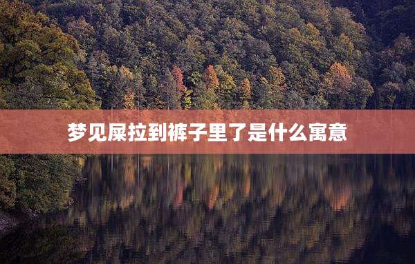梦见屎拉到裤子里了是什么寓意
