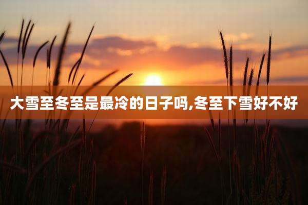 大雪至冬至是最冷的日子吗,冬至下雪好不好