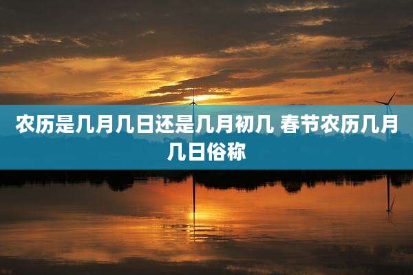 农历是几月几日还是几月初几 春节农历几月几日俗称